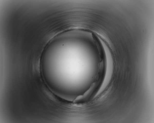 X0000088890842200706151828