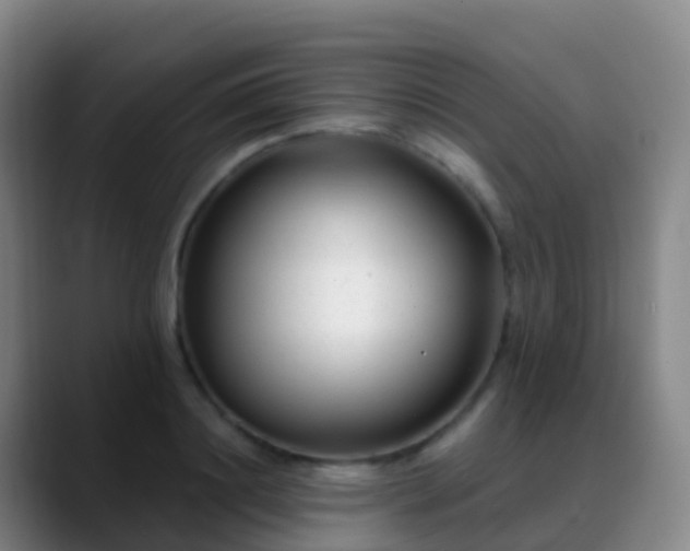 X0000088890844200706151828