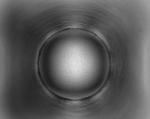 X0000088890845200706151828