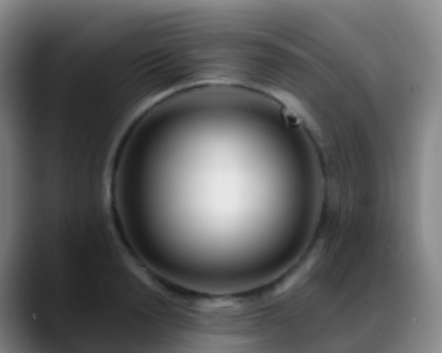 X0000088890846200706151828