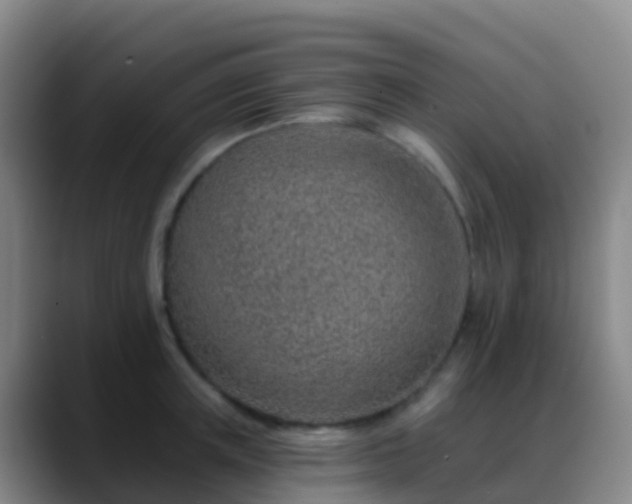 X0000088890851200706151828