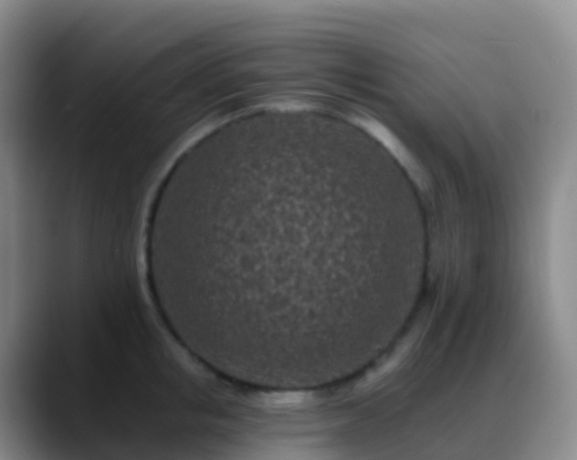 X0000088890853200706151828