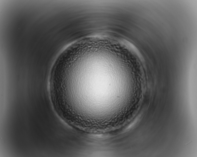 X0000088890855200706151828