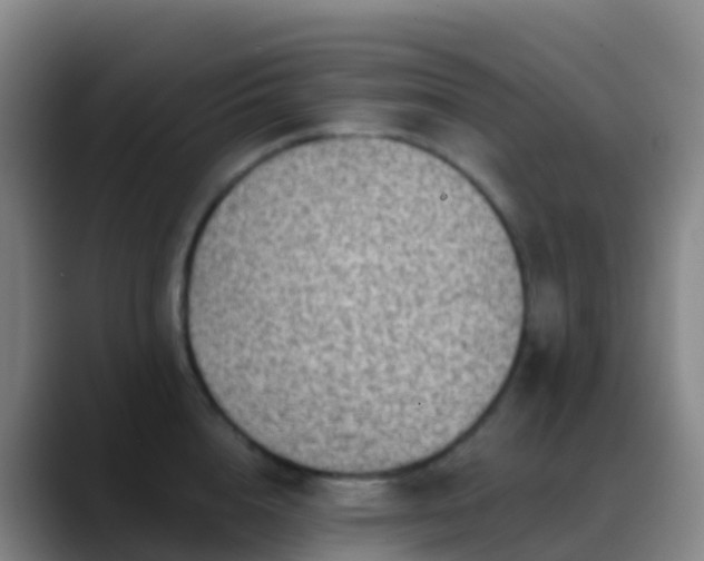 X0000088890856200706151828