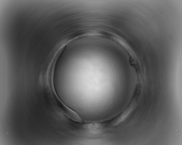 X0000088890858200706151828