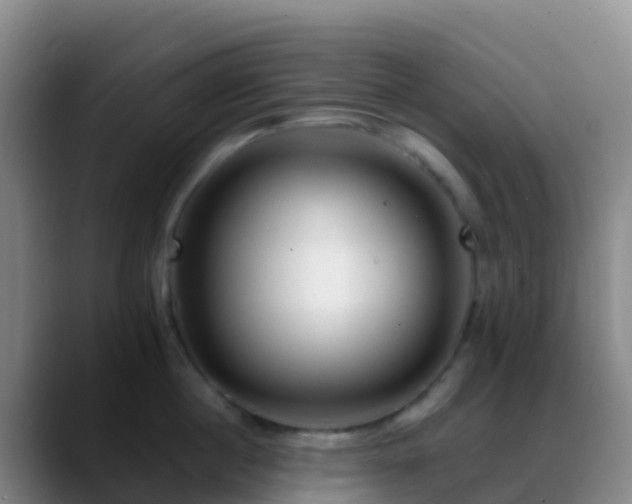 X0000088890860200706151828