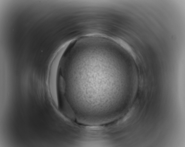 X0000088890863200706151828