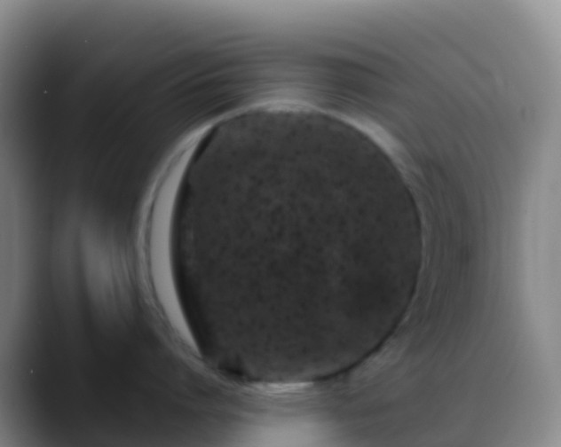 X0000088890864200706151828