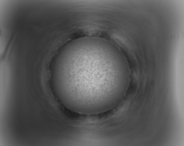 X0000088890865200706151828