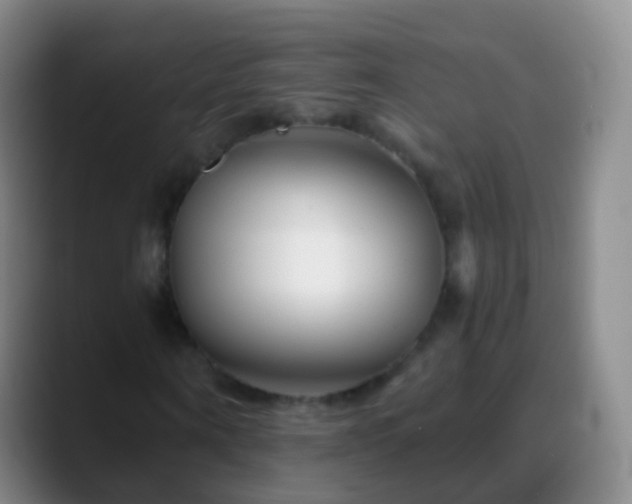 X0000088890866200706151828