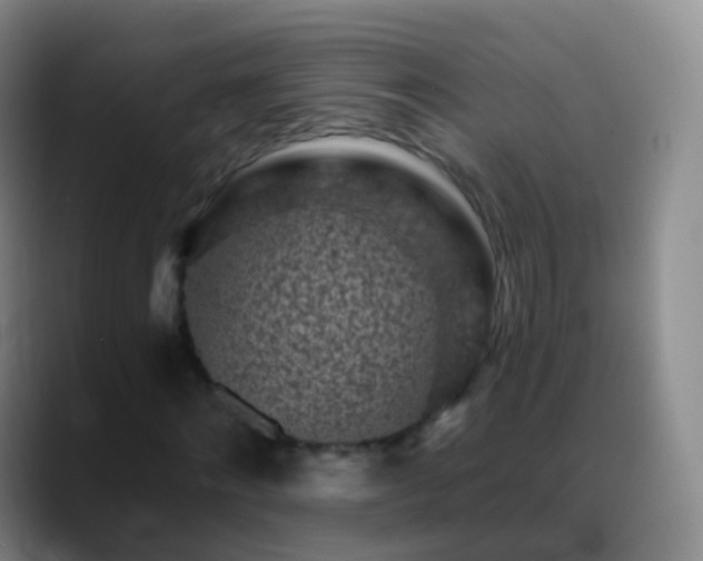 X0000088890868200706151828