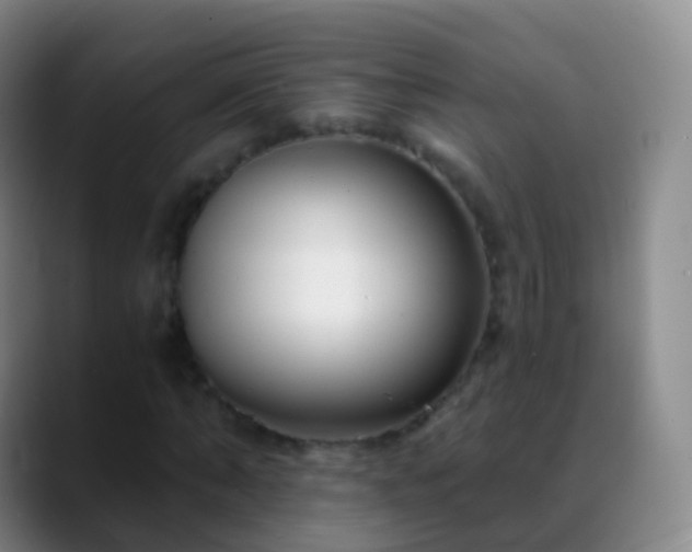 X0000088890870200706151828