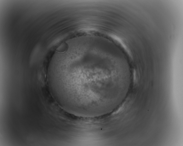 X0000088890871200706151828