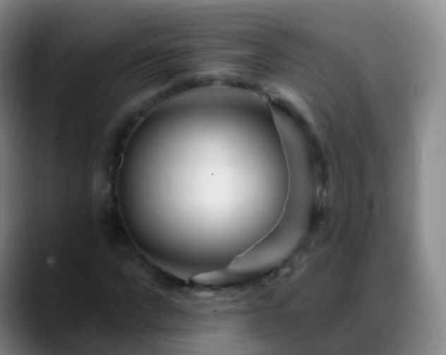 X0000088890872200706151828