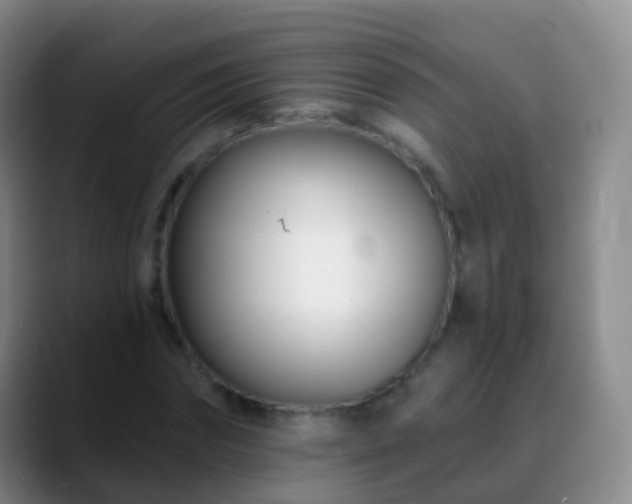 X0000088890874200706151828