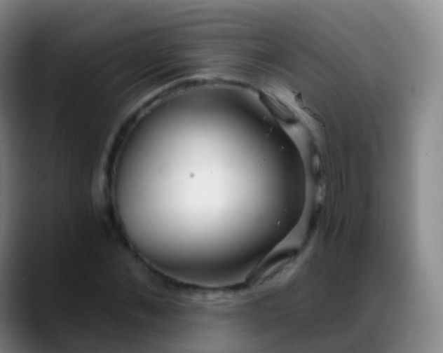 X0000088890876200706151828