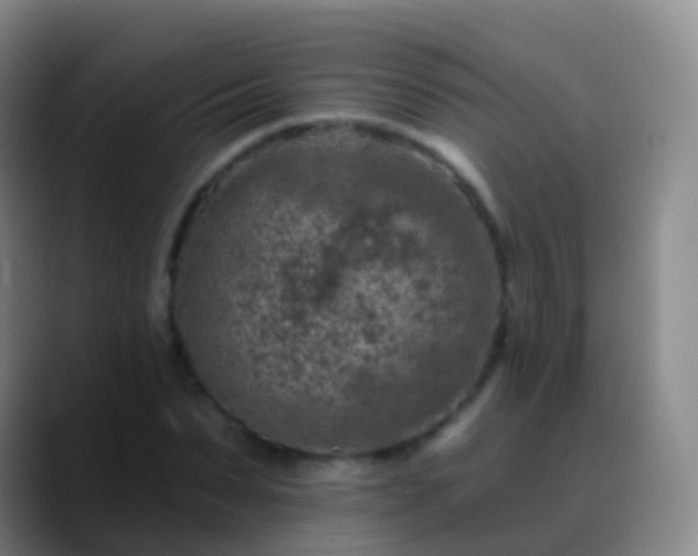 X0000088890879200706151828