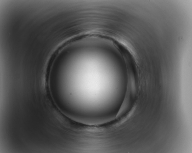 X0000088890880200706151828