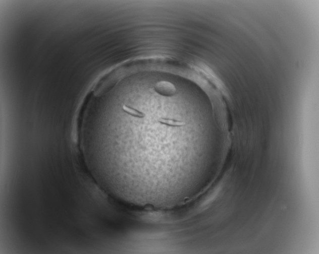 X0000088890883200706151828