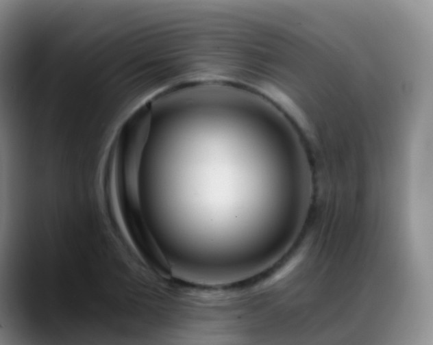 X0000088890885200706151827