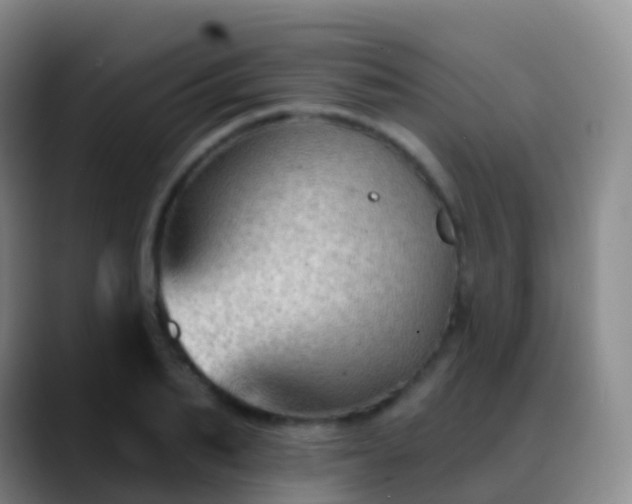 X0000088890887200706151827