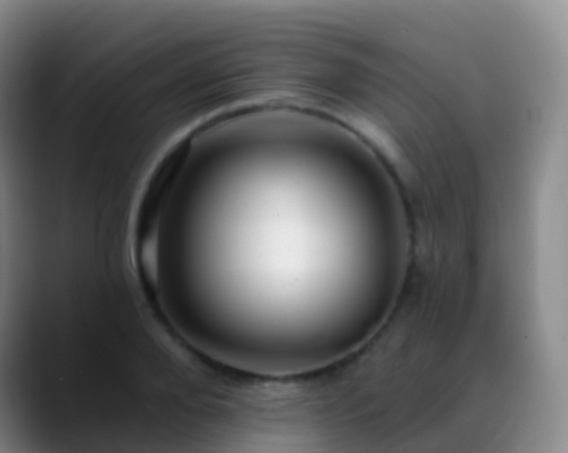 X0000088890888200706151827