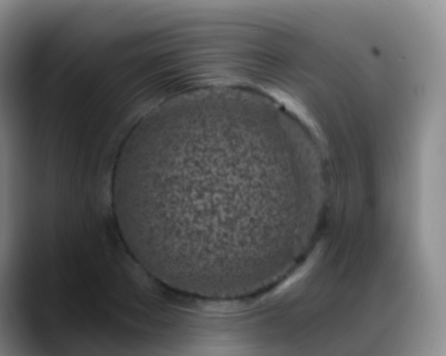 X0000088890889200706151827