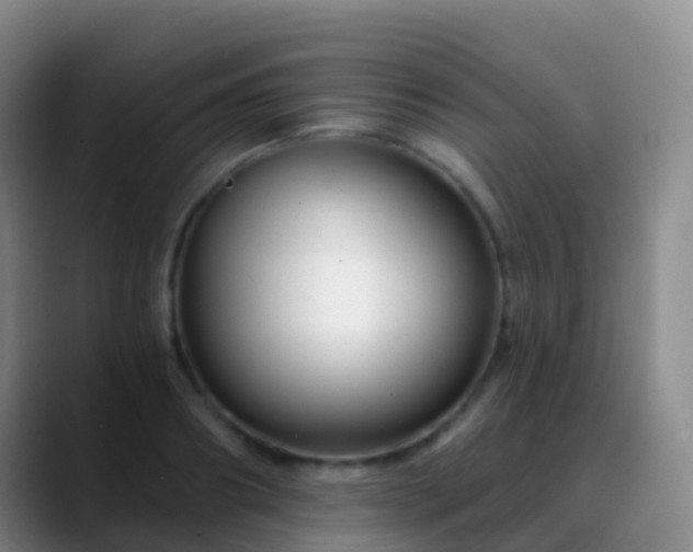 X0000088890890200706151827