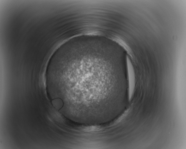 X0000088890891200706151827