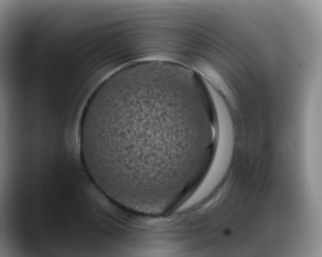 X0000088890892200706151827