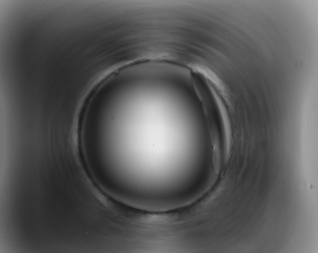 X0000088890894200706151827