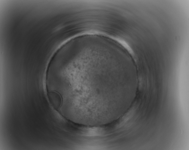 X0000088890895200706151827