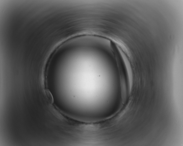 X0000088890896200706151827