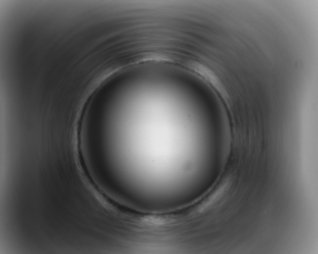 X0000088890898200706151827