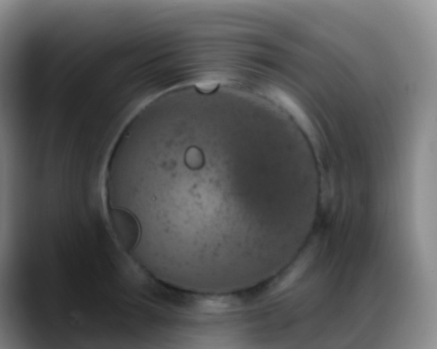 X0000088890899200706151827