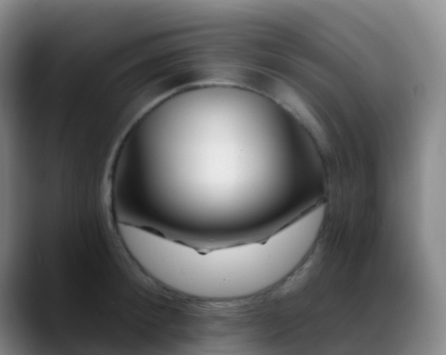 X0000088890900200706151827