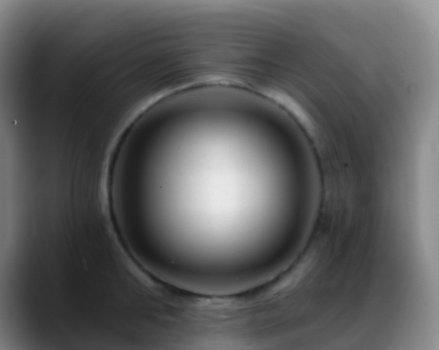 X0000088890902200706151827