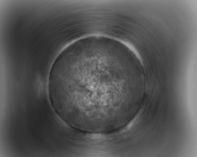 X0000088890903200706151827