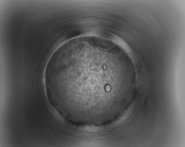 X0000088890907200706151827