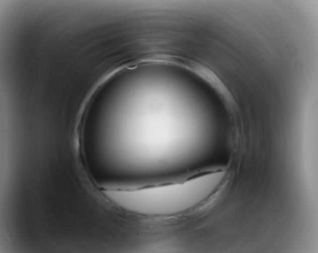 X0000088890908200706151827