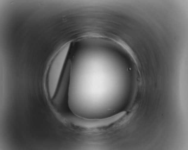 X0000088890909200706151827