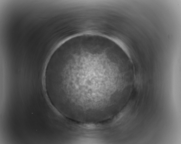 X0000088890911200706151827