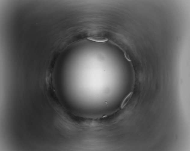 X0000088890914200706151827