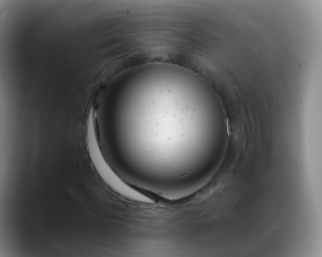 X0000088890916200706151827