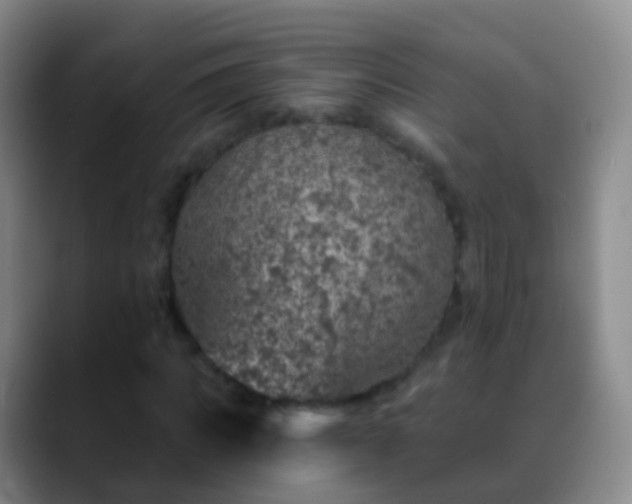 X0000088890917200706151827