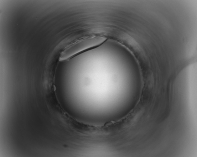 X0000088890920200706151827