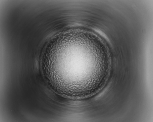 X0000088890921200706151827