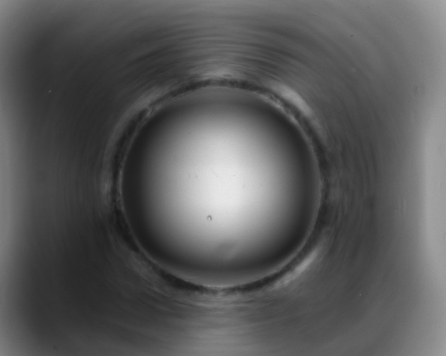 X0000088890922200706151827