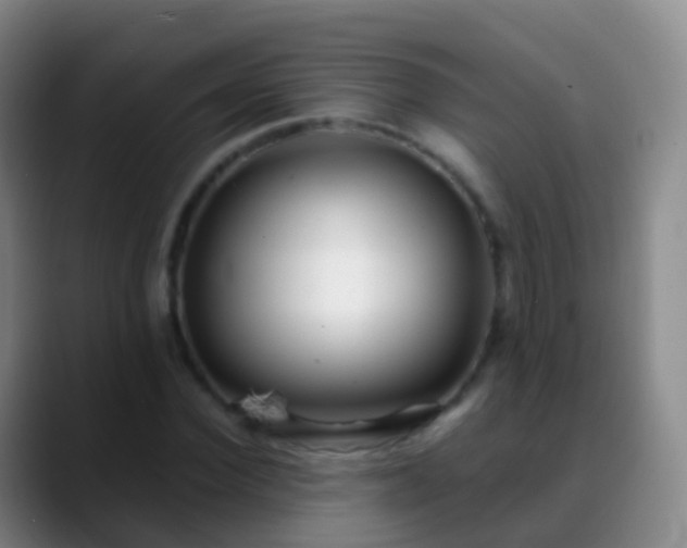 X0000088890924200706151827