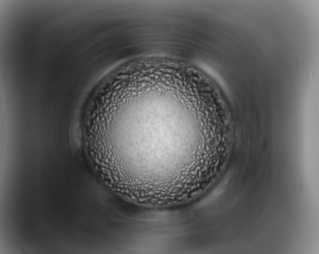 X0000088890925200706151827